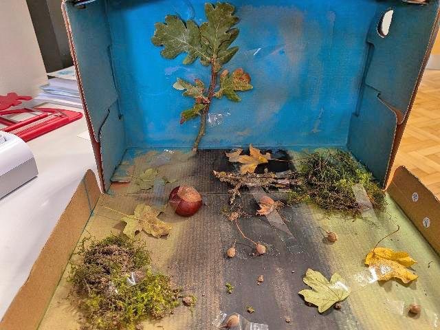 PXL 20251111 113949289