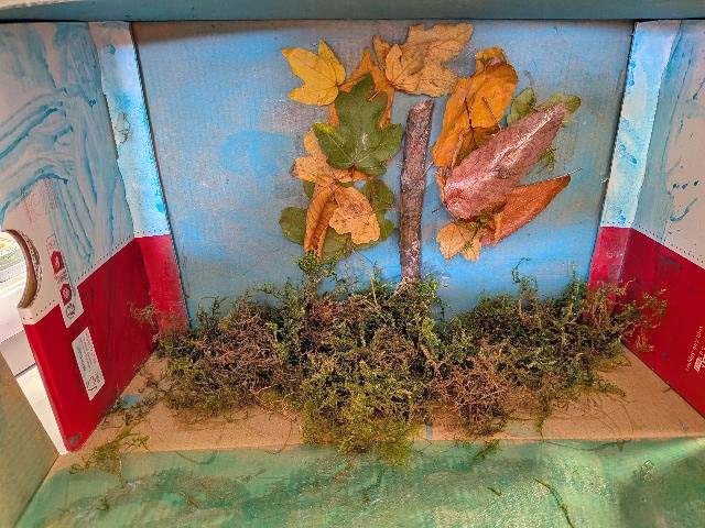 PXL 20251111 114113077